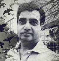 M.Nasir Alvi